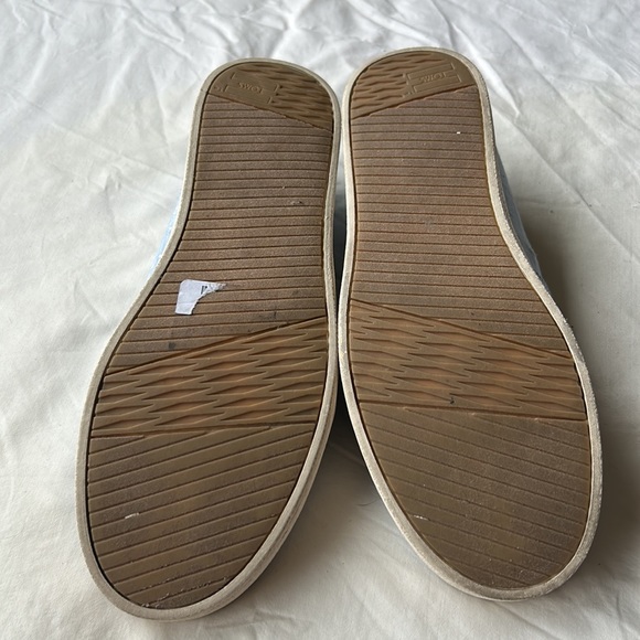 Blue polka dot Toms - Picture 3 of 5